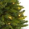 Nearly Natural 5-ft Sun Valley Fir Artificial Christmas Tree with 200 Clear LED Lights - 3 of 4