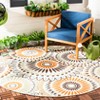 Veranda VER091 Power Loomed Indoor/Outdoor Rugs - Safavieh - 2 of 4