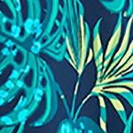 vibrant palm