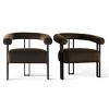 Modern Accent Chair Set of 2 ,Velvet Upholstered Accent Chair With Curved Backrest Armrest For Living Room Dining Room-Tanpinhause - 2 of 4
