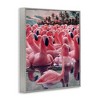 Stupell Industries Flamingo Among Floats, 20" x 16" - 3 of 4