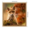 Amanti Art Fox by Robert Adamec Canvas Wall Art Print Framed 16-in. x 16-in. - 4 of 4