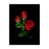 Trademark Fine Art -Susan S. Barmon 'Red Roses' Canvas Art - 2 of 3