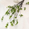 Attop 4 Pcs Artificial Ficus Branches Faux Eucalyptus Stems, 47.2 Inch Fake Greenery Stems Artificial Plants for Vase Filler Decoration - 3 of 4