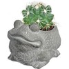 Classic Home and Garden Cement Buddies Indoor/Outdoor Planter with Drainage Hole, Frog - 3 of 4