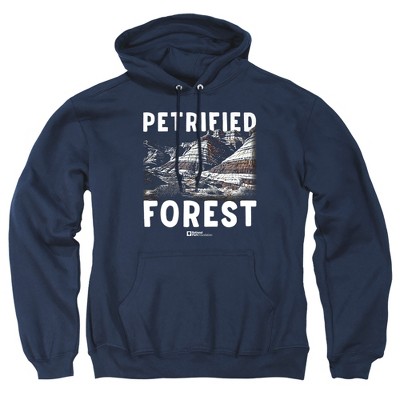 Men's Petrified Forest National Park Majestic Blue Mesa Pull-Over Hoodie