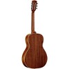 Alvarez MP60E Parlor Acoustic-Electric Guitar Shadow Burst - 4 of 4