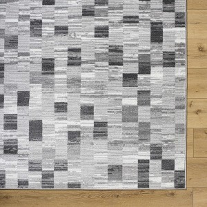 Hauteloom Alagan Medium Gray Area Rug - 1 of 4