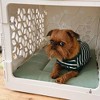 KindTail PAWD Cat and Dog Crate Pad - 2 of 3