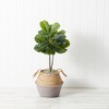 Nearly Natural 3-ft Artificial Fiddle Leaf Fig Tree with Handmade Cotton & Jute Woven Basket DIY Kit, Green - 3 of 4