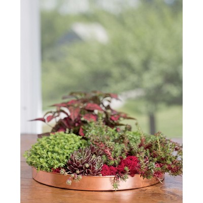 Large Round Copper Plant Tray, 14 - GARDENER'S SUPPLY CO.