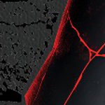 kylo ren