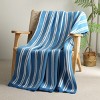 Amelie Home Striped Chenille Throw Blanket - 4 of 4