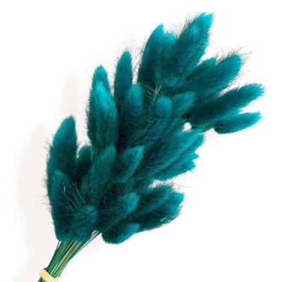 Alilang Dried Bunny Tail Grass Stems for Modern Home Decoration and Floral Arrangements, 23.5 Inches