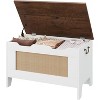 Farmhouse Storage Chest with Safety Hinge - Wide Entryway Bench with U-Shaped Cut-Out, Shoe Storage Trunk for Living Room - 2 of 4