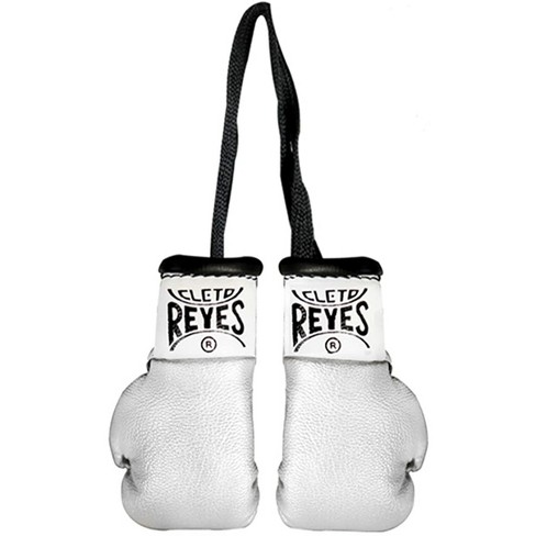 Pair of best sale boxing gloves