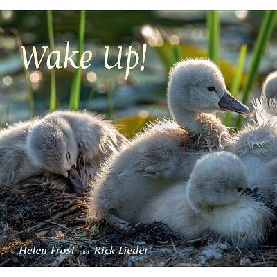 Wake Up! - by  Helen Frost (Hardcover)