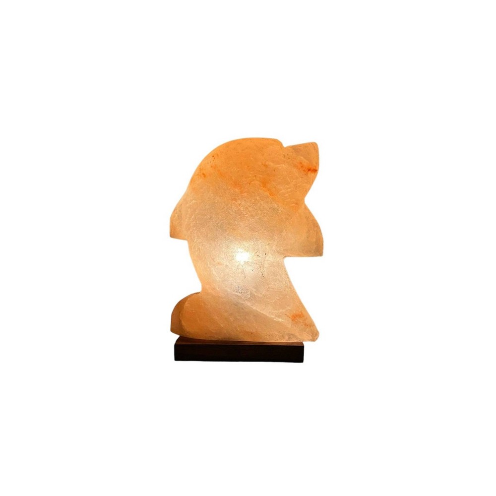 Photos - Floodlight / Street Light Q&A Himalayan Salt Dolphin Shape Table Lamp