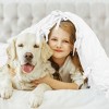 PiccoCasa Washed Cotton Comforter Duvet Cover with 1 Pillowcase - 4 of 4