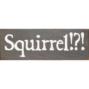 Slickblue Squirrel!? Text Sign, 3.5x10 Rustic Pine Wood Plaque, Hanging or Shelf Decor Sign, Multiple Colors - 1 of 3