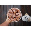 Freshpet Nature's Fresh Roll Grain Free Turkey Recipe Refrigerated Wet Dog Food - 5lbs - 2 of 3