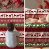 Lomsoe Christmas Flannel Blanket Throw Cozy Warm Throw Blanket with Red Green Reindeer Print Christmas Gift for Winter Couch Sofa Bed Home Decor - 4 of 4