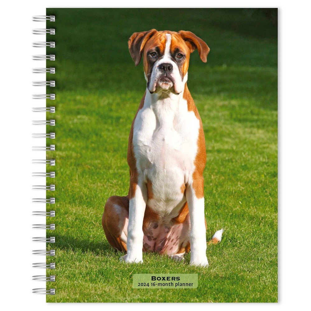 Photos - Other interior and decor Browntrout 23- Weekly/Monthly Planner 7.5"x7.125" Boxers International 2024