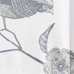 molly botanicals light blue