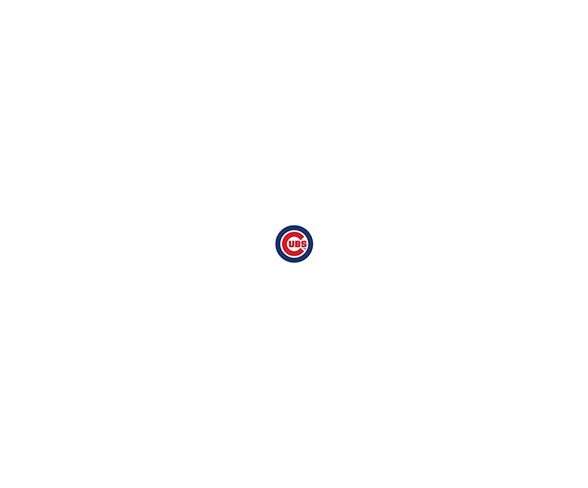 MLB Chicago Cubs 500pc Find Joe Journeyman Puzzle