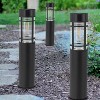 C Cattleya Black Solar LED Outdoor Path Lights - 4 of 4