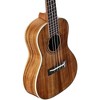 Alvarez Artist Concert Ukulele Natural - 3 of 3