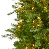 Nearly Natural 6-ft Vienna Fir Artificial Christmas Tree with 400 Warm White Lights and 843 Bendable Branches - 3 of 4