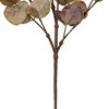 Vickerman Spiral Eucalyptus Collection - 3 of 4