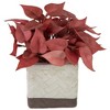 Northlight Real Touch™ Artificial Peperomia Plant in Square Lattice Designed Pot - 7" -  Brick Red - 3 of 4