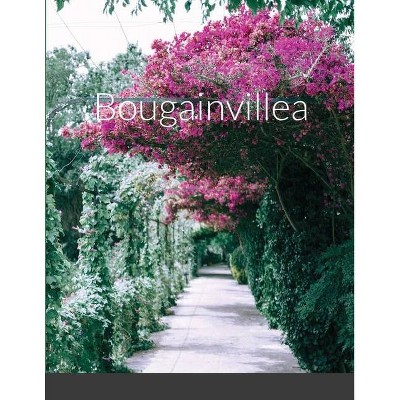 Bougainvillea - by  Melissa Davilio (Paperback)