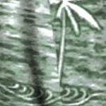 palm tree black