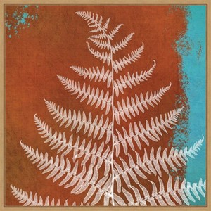 Amanti Art Fern Abstract Study II by Dianne Poinski Framed Canvas Wall Art - 1 of 4