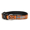 Halloween Bones Adjustable Dog Collar - The Worthy Dog - 2 of 2