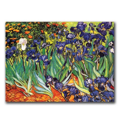 Trademark Fine Art -Vincent van Gogh 'Irises at Saint-Remy' Canvas Art