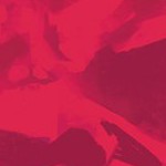 sam wilson captain america