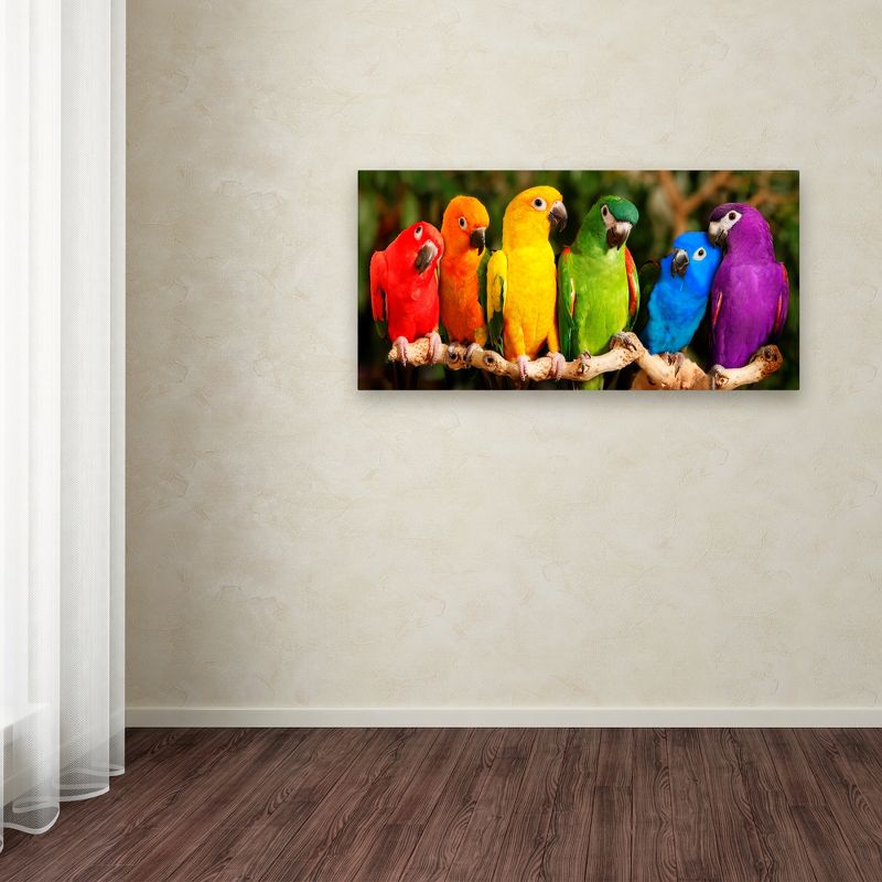 Trademark Fine Art -Mike Jones Photo 'Rainbow Parrots' Canvas Art, 3 of 4