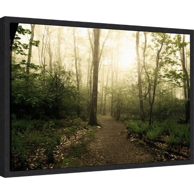 Appalachian Trail Forest Path Black Framed Canvas Wall Art