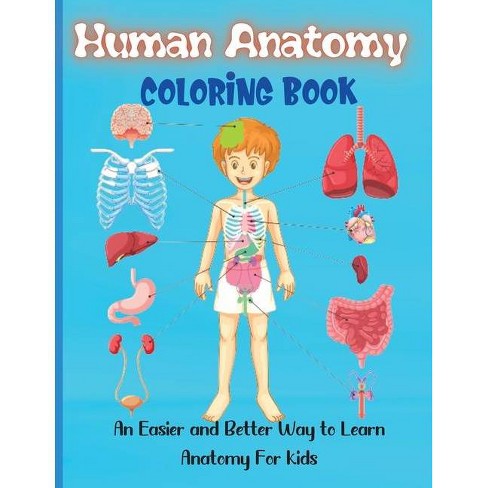 Download Human Anatomy Coloring Book By Rhea Stokes Paperback Target