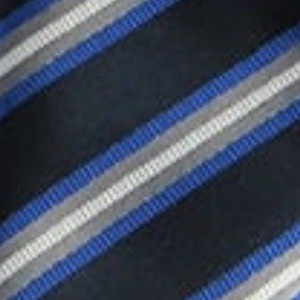 navy blue, royal blue and silver
