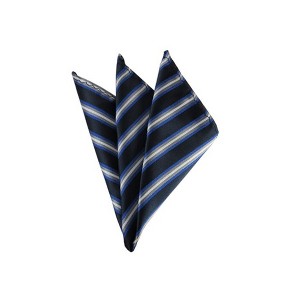 TheDapperTie - Men's Stripe Woven 10 Inch x 10 Inch Pocket Squares Handkerchief - 1 of 3