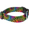 Country Brook Petz HossFit Jr Wide Deluxe Dog Collar - Groovy Collection - 4 of 4