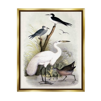 Stupell Industries Varied Crane Birds Gathered Riverbank Stream BotanicalsFloater Canvas Wall Art