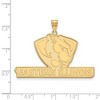 Black Bow Jewelry 10k Yellow Gold Eastern Illinois Panthers NCAA Extra Large Pendant - 2 of 3