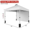 Pop Up Canopy Tent, 10 x 10 Outdoor All Season Waterproof Sun Shade with Wheeled Bag for Parties Events Camping - 4 of 4