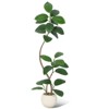 Artificial Rubber Tree, 5ft Tall Fake Plants with White Planters, Artificial Plants Indoor with Multicolored Pebbles - 2 of 4